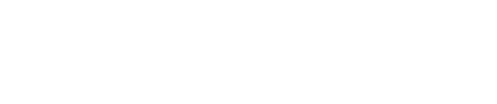 SA 10.02.2007